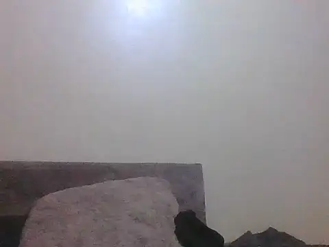 sripper9 Live XXX Chat