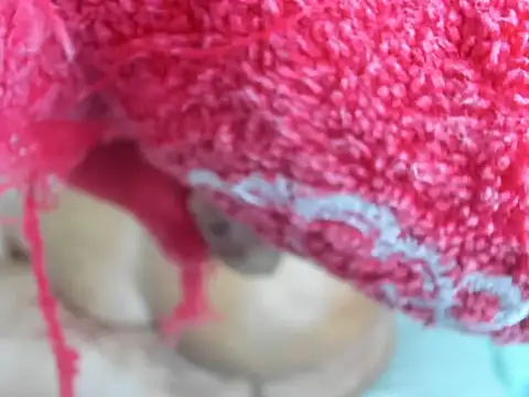 BUBLYASS26 라이브 XXX 채팅