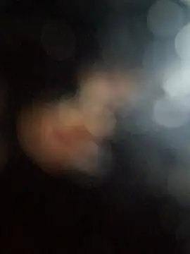Savonani Live XXX-Chat