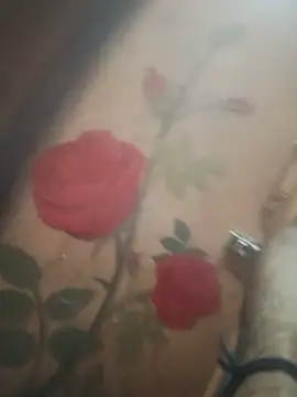 Chat XXX Live StripchatAssam93