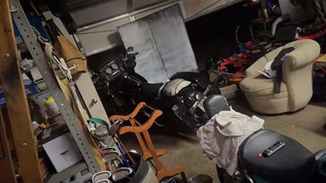 studlyhardwoodd's Live XXX Chat
