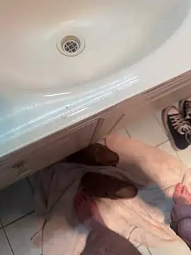 hitthegspot69 网络视讯表演