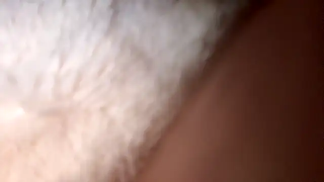 SoberingTadpole Chat XXX live
