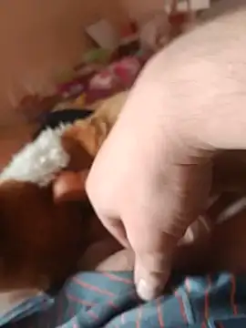 Chat XXX en directo de Kolbat