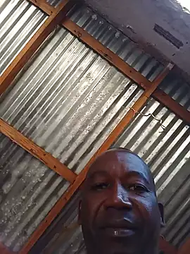WiseDi live XXX chat