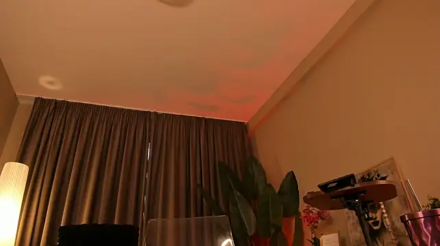 Chat +18 de torri_kitten ao vivo