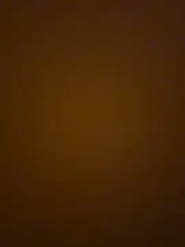 RonnieKiss 现场XXX聊天