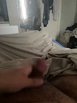 Webkamerová show DICKTOKKI