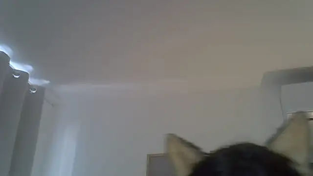 Show de webcam de SkinnyKitten