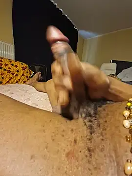 solofe19 élő XXX-chatje