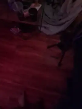 Show webcam de BlazingSauce69