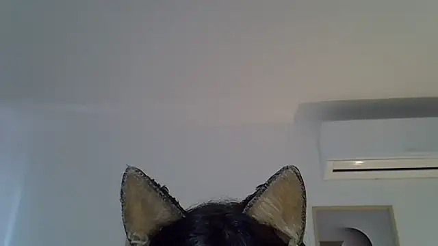 SkinnyKitten Show Webcam