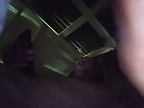 liryw250 Show in webcam