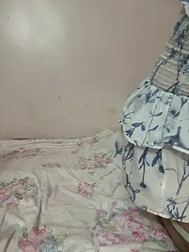 Show Webcam de xiao-lin233