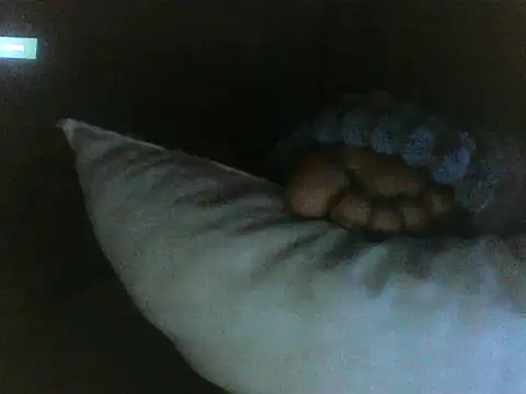 Sumipirsitos Live XXX Chat