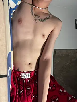 הופעת וובקאם של linhfag