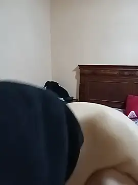 amira_vs_amir 网络视讯表演