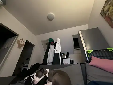 Webkamerová show jarda94cz