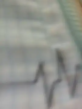 Chat +18 de SOFI__10 ao vivo