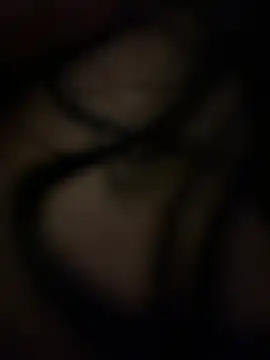 AandR13 Webcamshow
