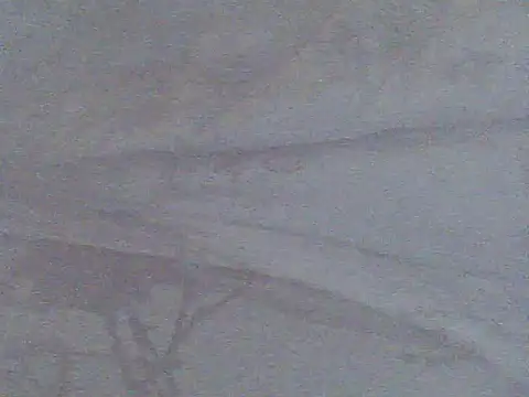 Živý XXX chat _Bluemann__