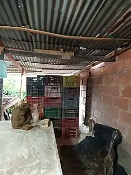 hoteder Adlı Modelin Canlı XXX Sohbeti