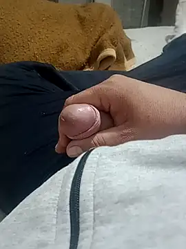 nickhali Webcam show