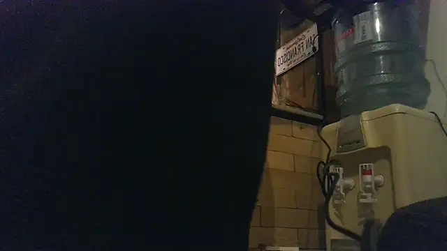 Show webcam de Qnitca