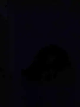 MariaMeir live XXX chat