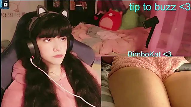 BimboCat webkamerás műsora