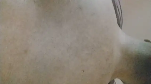 Chat XXX en directo de ReallyReallyReal
