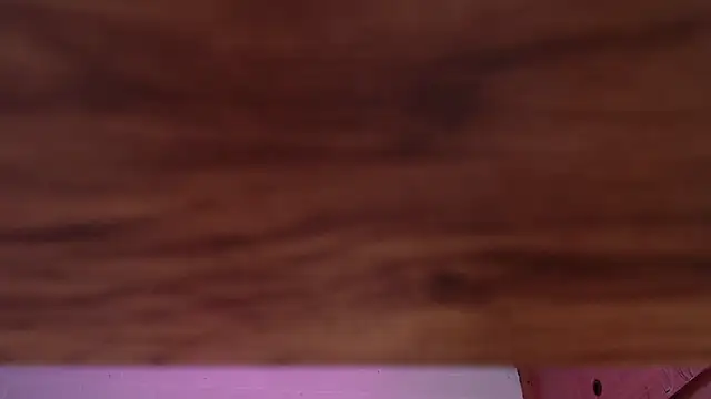 Amy66 Live XXX-Chat
