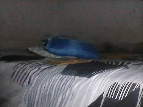 Chat XXX en directo de HiipoWer