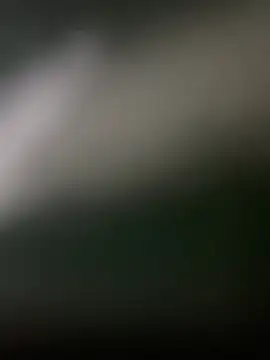 Chat XXX en directo de Aotearoa2