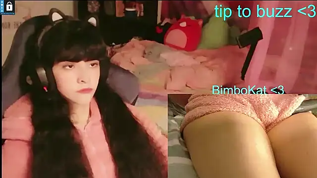 BimboCat লাইভ XXX চ্যাট