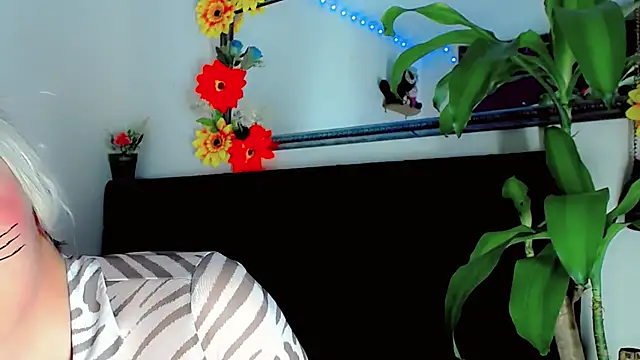 Chat +18 de NathalialLooes ao vivo