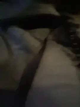 Chat +18 de ZaneHoward ao vivo