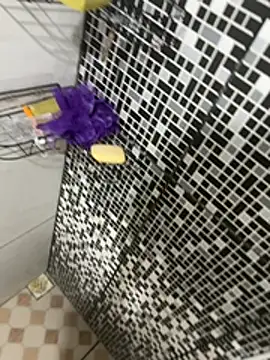 Chat XXX ao vivo de davisanos