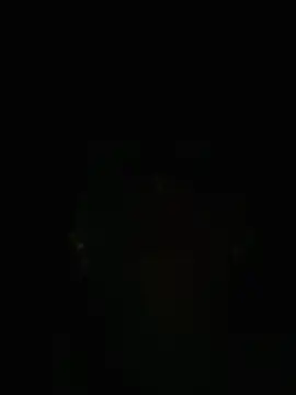 ZaneHoward's Live XXX Chat