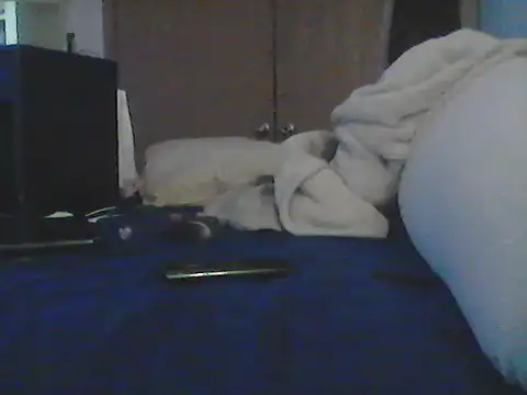 Show Webcam de Silencio26