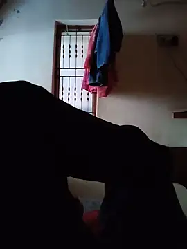 Show webcam de Gujjuuboys