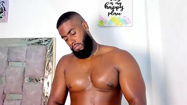 הופעת וובקאם של lebron_million