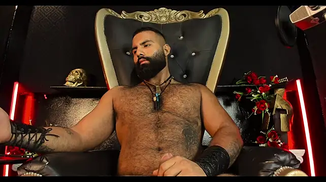 Вебкам-шоу BeardAndrew