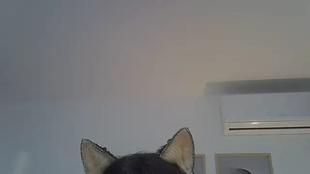 SkinnyKitten's Live XXX Chat