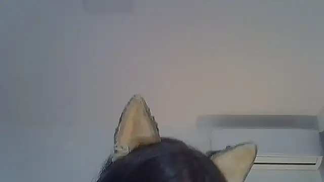 Show de SkinnyKitten na webcam