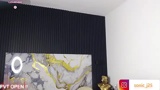 SonicJ25 লাইভ XXX চ্যাট