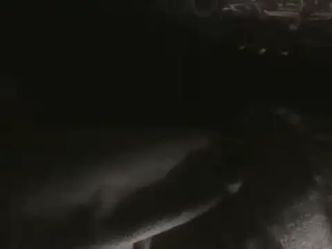 Vibe420630 Шоу с уебкамера