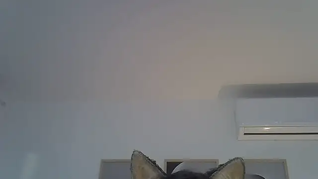 Show de webcam de SkinnyKitten