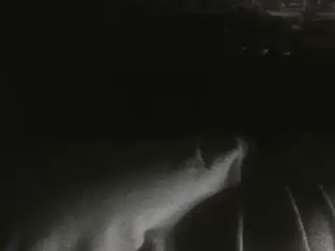 Vibe420630のライブXXXチャット