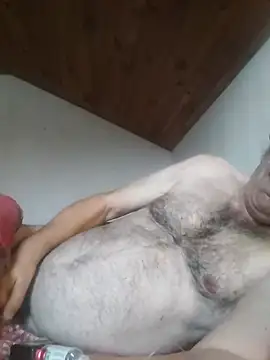 Show Webcam de AIDIl63